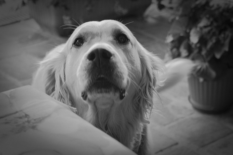 5025126481_494d79d4ea1-750x499